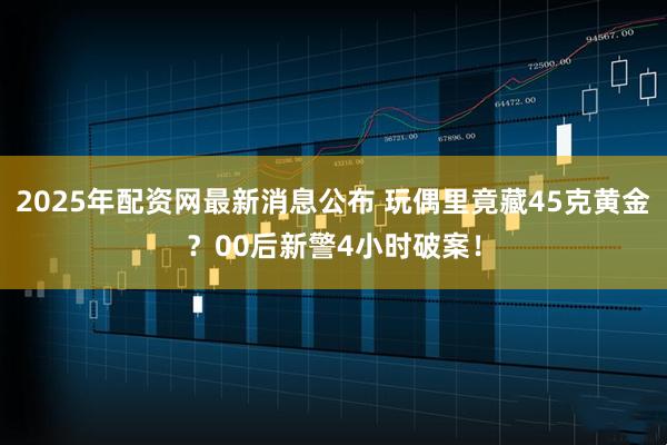 2025年配资网最新消息公布 玩偶里竟藏45克黄金？00后新警4小时破案！
