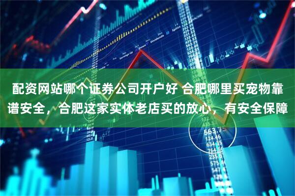 配资网站哪个证券公司开户好 合肥哪里买宠物靠谱安全，合肥这家实体老店买的放心，有安全保障